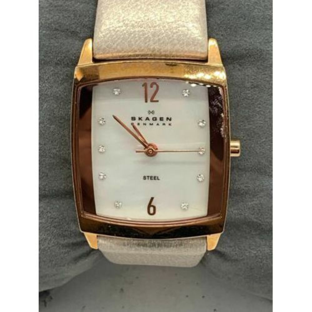 Skagen 691SRLTT Women's Watch Japan Quartz Movement Analog 25mm Beige Band D485